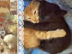 me and my bsf 🥹✌️