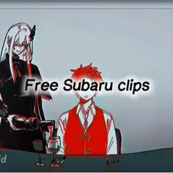 Subaru clips 