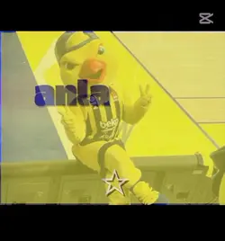 Fenerbahçe