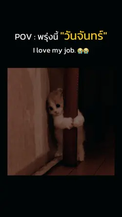 พรุ่งนี้วันจันทร์