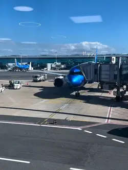 fly to your City ✈️