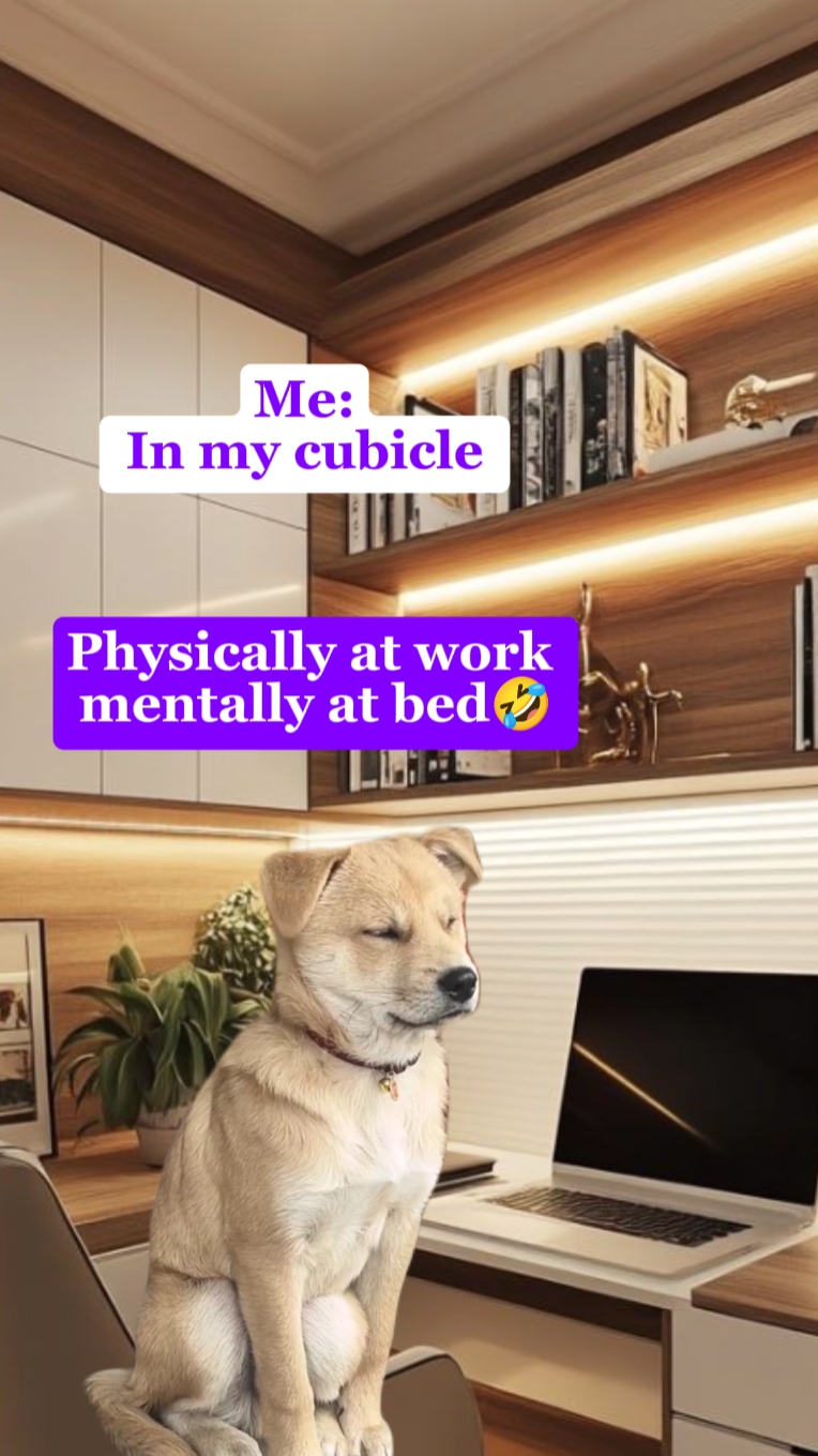 Schlafen ist meine Gewohnheit