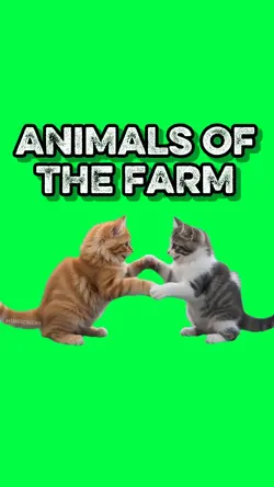 CATS OF THE FARM