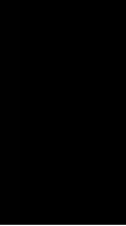 Nẫu 1 Ảnh + Lyric 