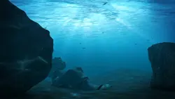 Underwater ¹⁵