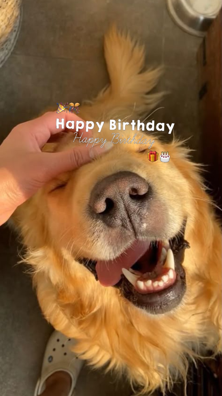 B I R T H D A Y