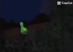 Dino vibes