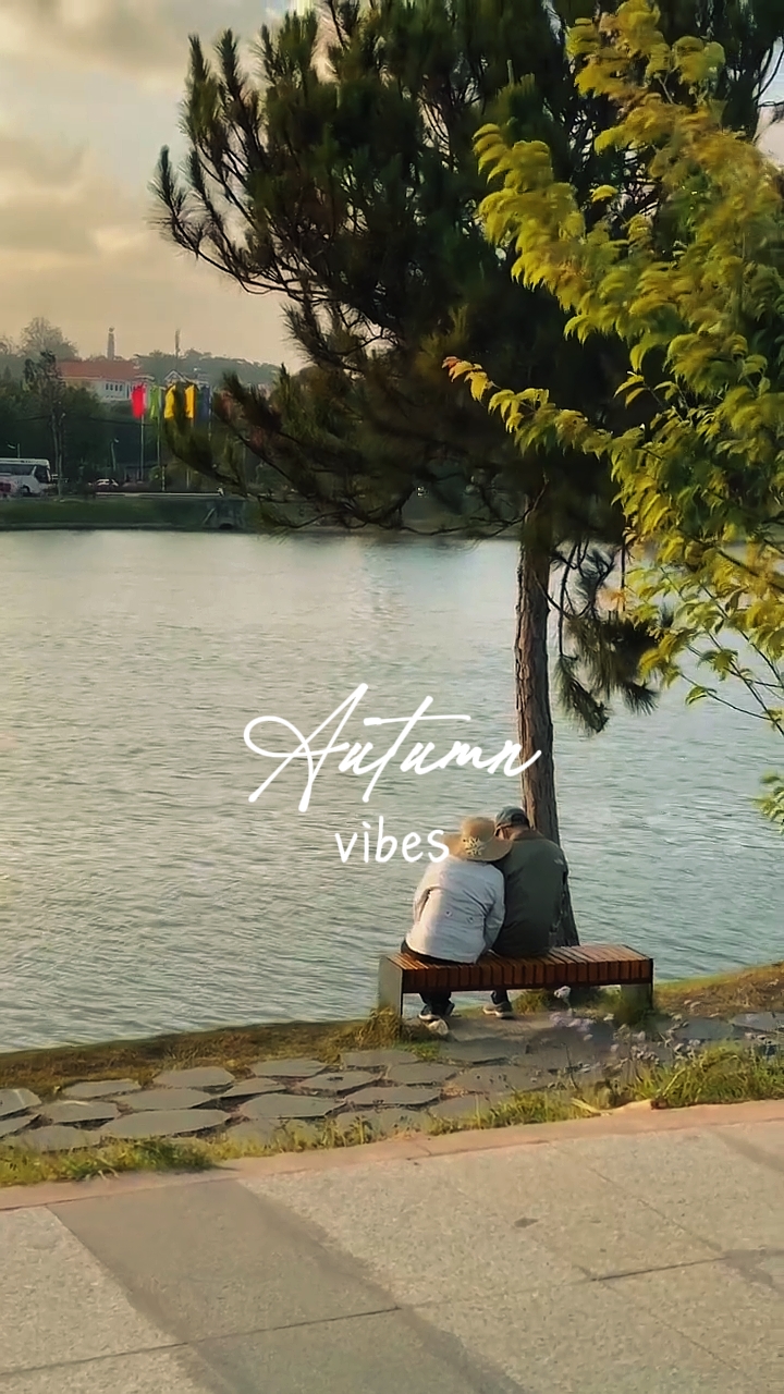 AUTUMN VIBES