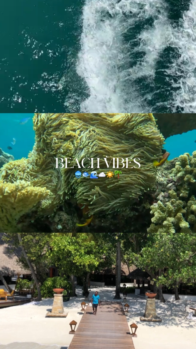 Vibrações de praia
