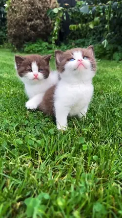 Smthng Just LikeThis