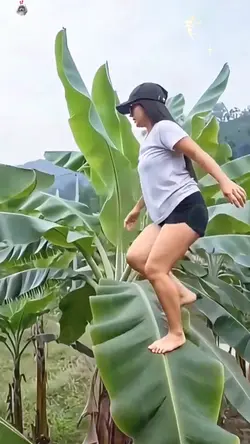 Agile beauty