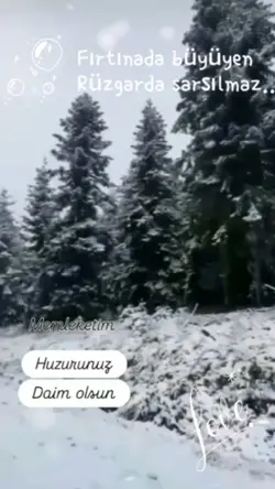 Öyle bir geçer zaman
