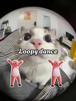 Loopy dance