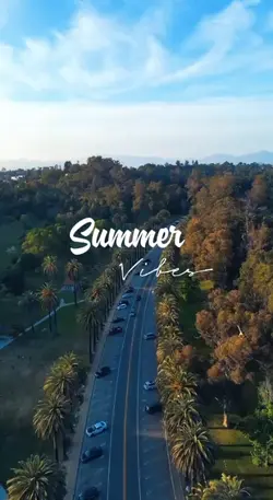 Summer Vibes 