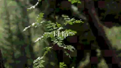 144p - 4k UHD