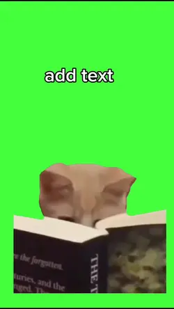 fond vert chat