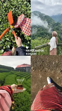 Ohh nenni koçari