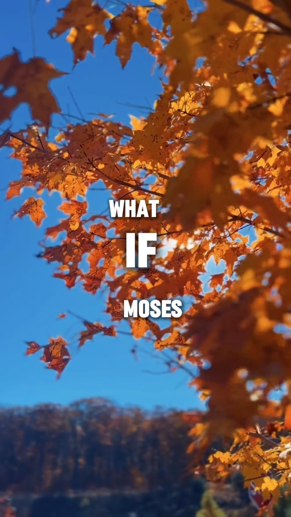 What if