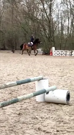 Édit de chute 