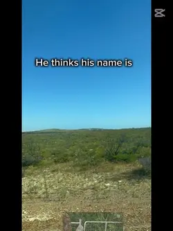 Pineapple π