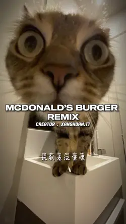 Mcdonald’s burger 