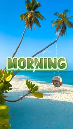 morning