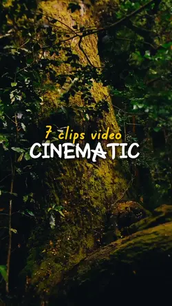 7 video Cinematic 