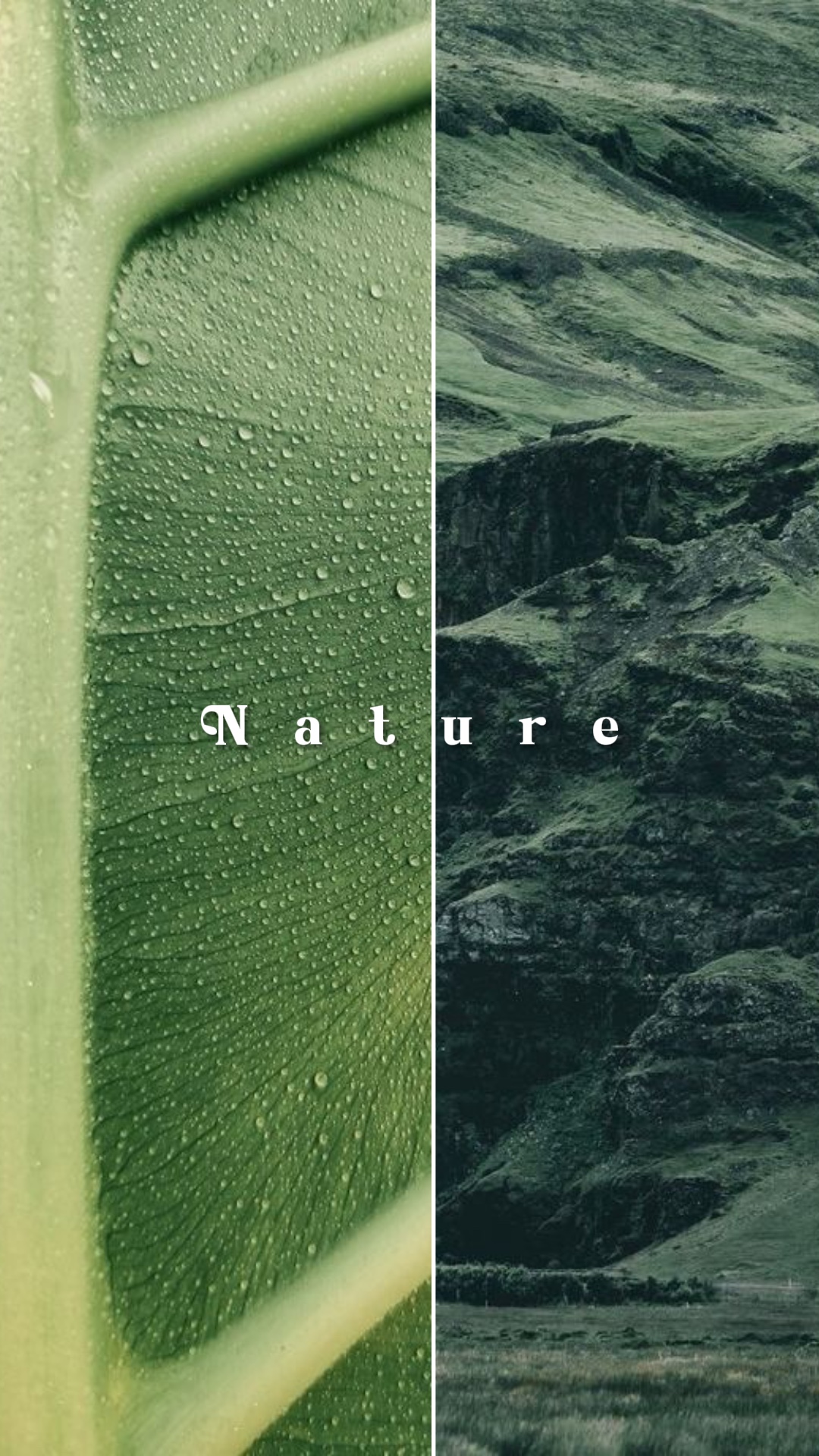 Nature photography
