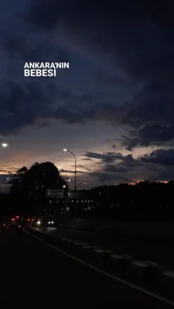 Gölbaşının gülleri