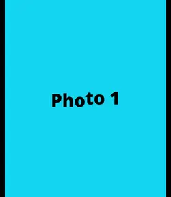 TRENDING EDIT NEW