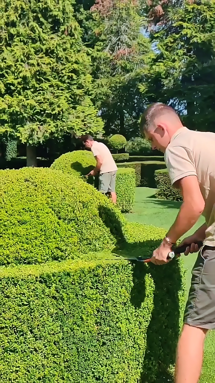 Jardinería