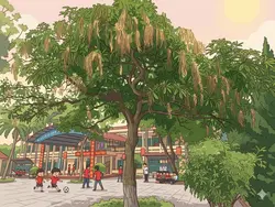tuổi học trò