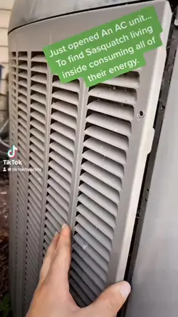 There’s a Sasquatch 