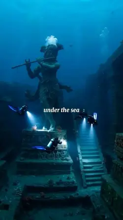 under the sea