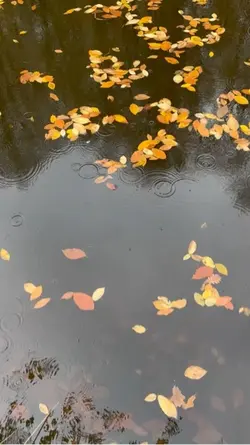 Logo sy muhabbat❤️