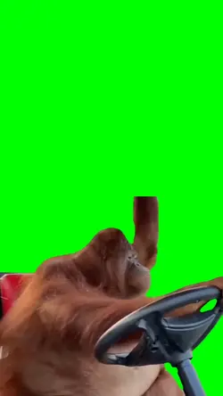 Monkey Driving