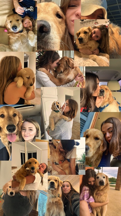 Mis mascotas
