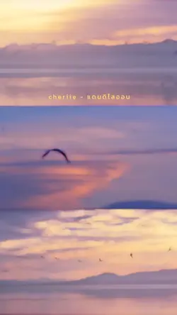 แดนดิไลออน