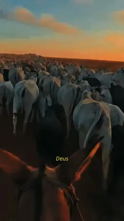 Deus