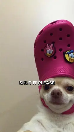 SHUT IT PLEASE #meme