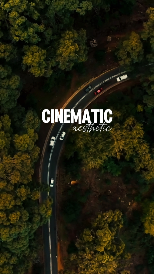 mini vlog cinématique
