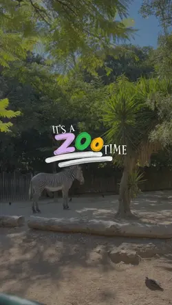 Zoo Time