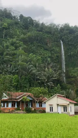 Suasana perkampungan