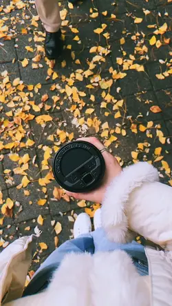 3 minutes video
