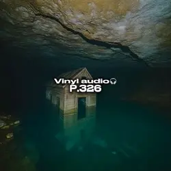 Vinyl audio p.329🎧