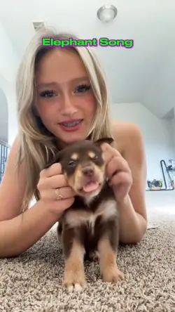 Elephant Song!❤️❤️❤️