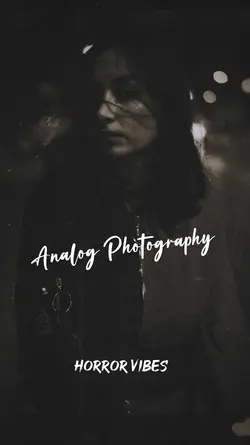 Analog Photography 
