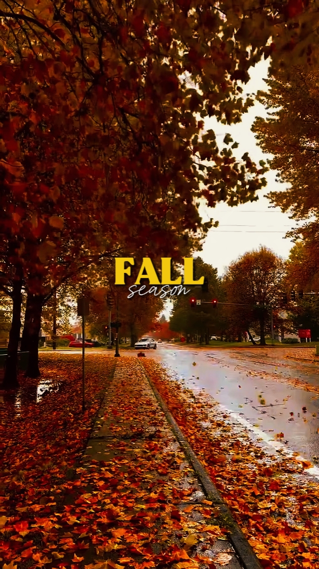 Fall Season