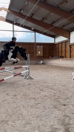 THIS HORSE!!!🤩❤️‍🔥