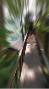 새 템플릿 